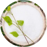 Xylitol: white sweetener crystals with green leaves